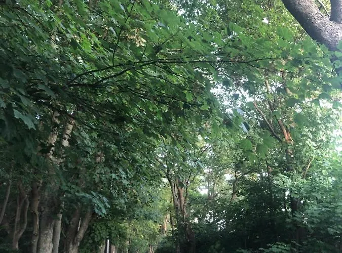 305 Metrów Do Morza Apartament Kołobrzeg