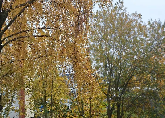 305 Metrów Do Morza Kołobrzeg